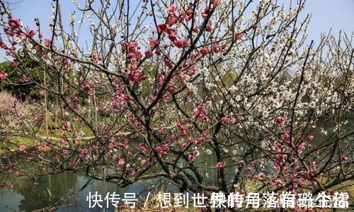 哲理$最唯美的一首词,800多年来无人能出其右,成为宋词压卷之作