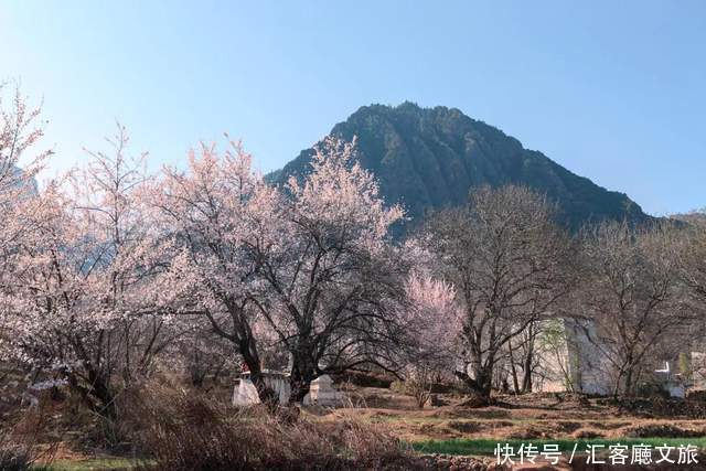 县市|藏族小伙丁真火了！丁真的家乡甘孜18县市美景全攻略