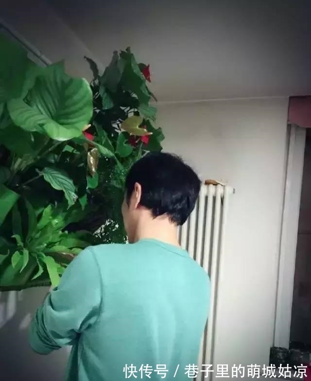 王昱珩|被《人民日报》表扬，1000万姑娘都想嫁，他将家变成热带雨林