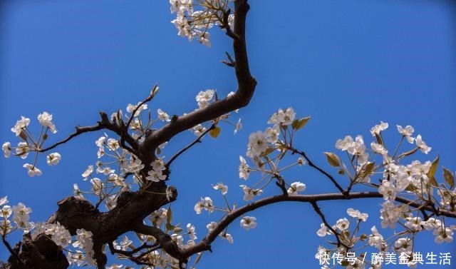 内心|内心强大的人,看什么都顺心和顺眼,希望你是