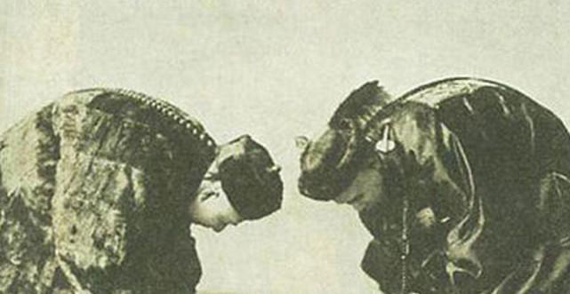 架势|清朝老照片图二是李鸿章夫人,图三当官老爷出行很有架势!