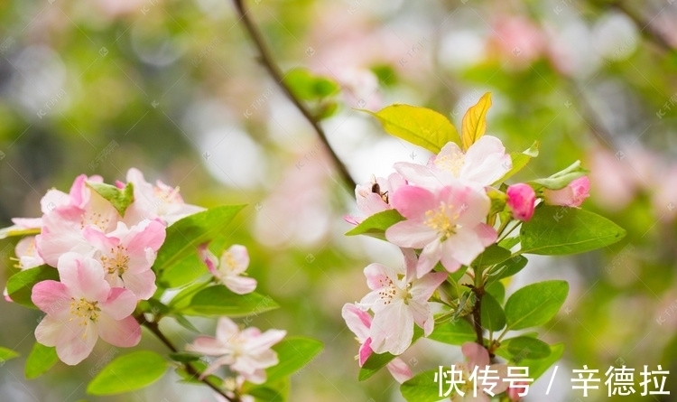 生肖|2022年开始,家庭和睦,工作有进步的4生肖,是家人心中的骄傲