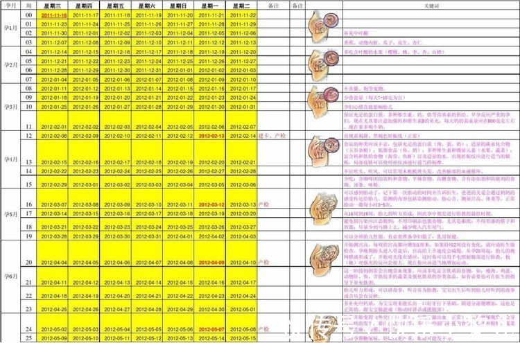 b超|应该怎样确定自己的预产期呢?三个方面,了解医生才知道的内容