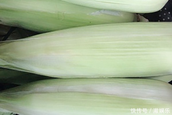 冬季玉米怎样存储教你两招,再也不怕没有新鲜玉米吃了!