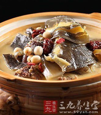 冬季補腎滋陰首選10款甲魚滋補食譜