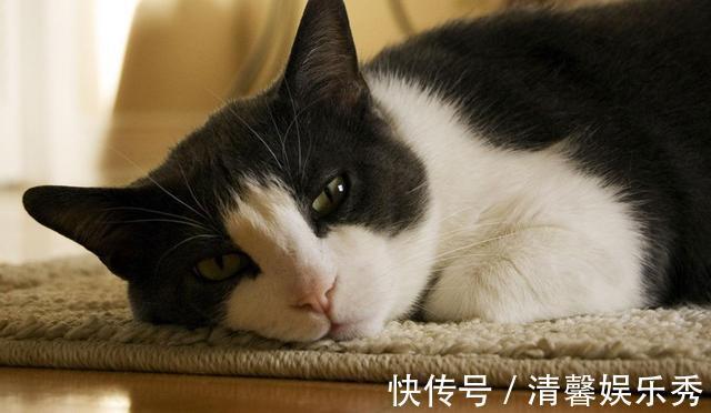 主食|减肥其实并不难,记住早上3个坚持,晚上4个注意,你也能瘦下来