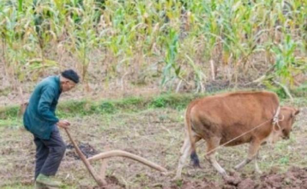 恭喜发财!他因133岁超高龄被授予“中国长寿之王”,长寿秘诀只有四字