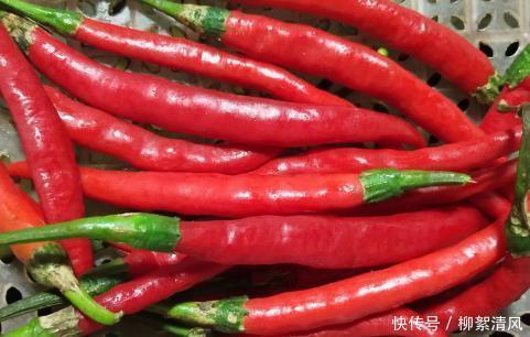 辣椒酱|做辣椒酱时,只放盐容易坏,多加这一步,辣椒酱不发霉,不长毛