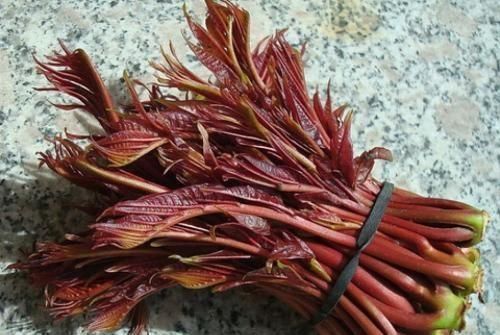 世界上“最难吃”的6种蔬菜,吃过一半是牛人,全吃过的是大神