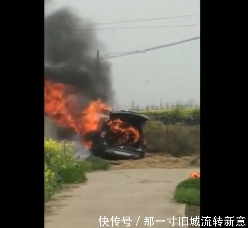 野外钓鱼有风险,钓着钓着车没了!