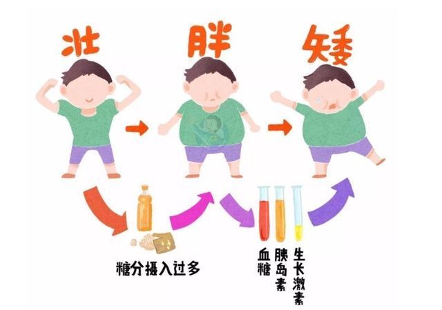 生物蛋白锌|14岁男孩停止发育,儿科:长也是1.6米左右,家长为无知买单