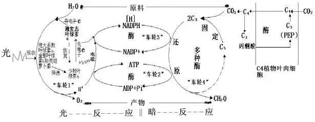 C6h12o6是有机物吗