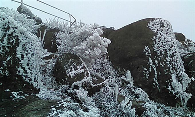 雪景|广东这几个地方这周可能会下雪，雪景最漂亮在这几个地方