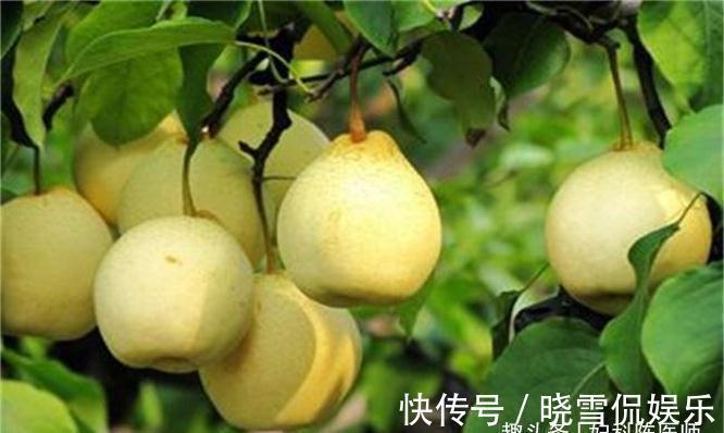 女性|女性担心老太快，可以多吃三种食物，美白护肤，越吃越年轻！