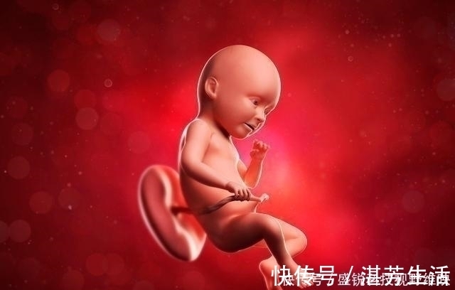 肚子|怀孕后,若孕妈有3个“特殊”表现,说明胎儿很聪明,恭喜你