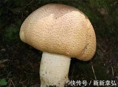 衰老|女性不妨多吃3种食物,补充营养,延缓衰老,好处多多!