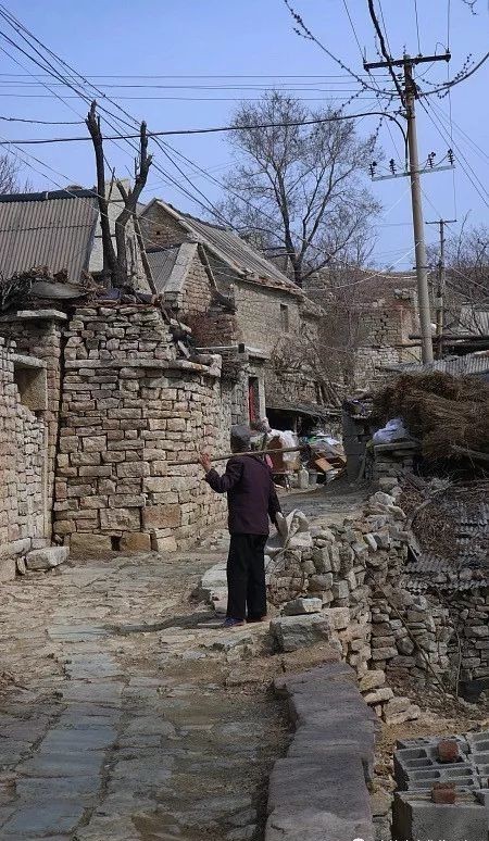 清净|清净的逯家岭村