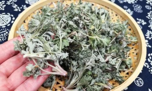 与大家分|4月包饺子别错过此菜,手脚冰凉最怕它,女性要多吃,比韭菜还鲜