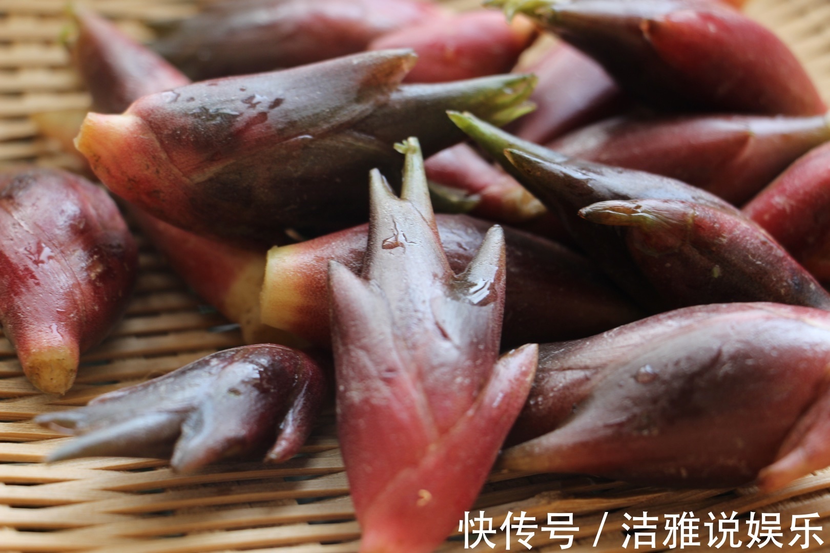 洋火姜|这道菜在中国是“喂猪菜”，被日本人当做“保健品”，你吃过吗