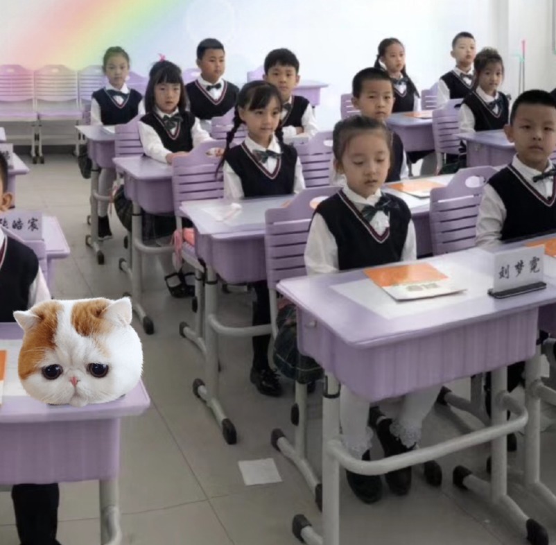 离开了包装与滤镜,小山竹的公主梦破碎,沦为普通小女孩