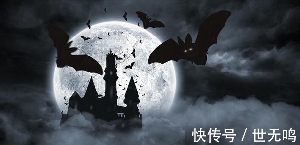漆树|或许只有少数人知晓，无用但有趣的24个猎奇冷知识