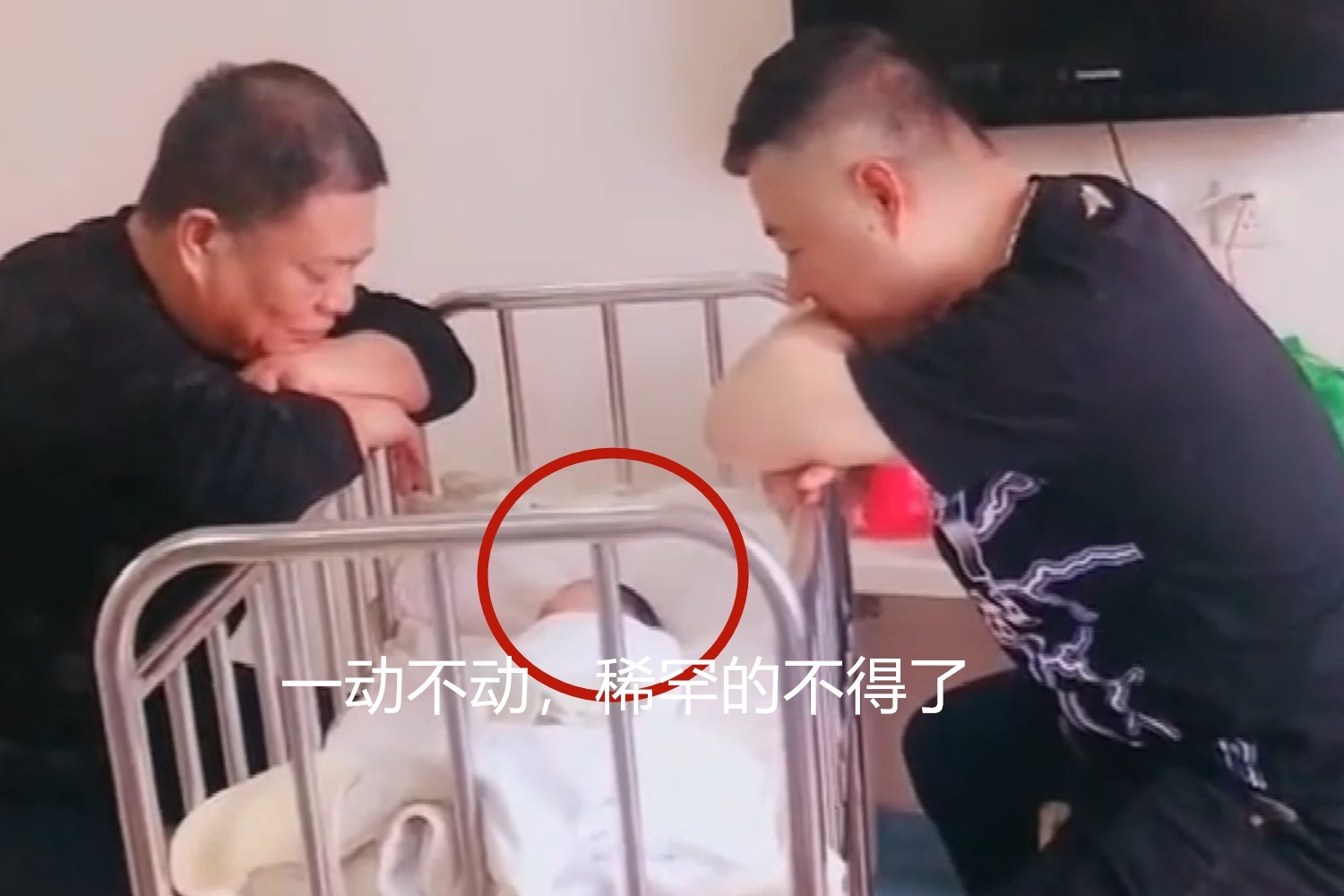 宝宝刚出生,爷爷和姥爷凝视“独苗”半小时,网友:还以为是照片