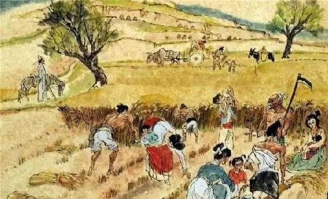 好看|清代七品芝麻官不好当,除了“高学历”还要长得好看