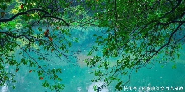 潇潇|这首宋词冷僻而惊艳,寥寥数语,写尽世间最刻骨的相思,一眼入心