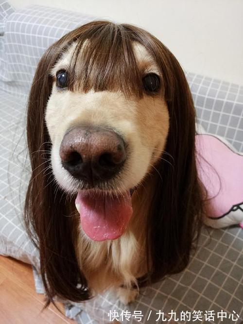 |幽默笑话:老婆上来就薅住俺的头发,逼问俺私房钱藏在哪儿了