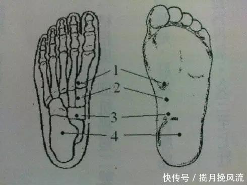 你的脚底，藏着5个抗癌穴