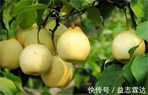 排毒|人到中年适合常吃3种食物,降压减脂,疏通血管,不容错过