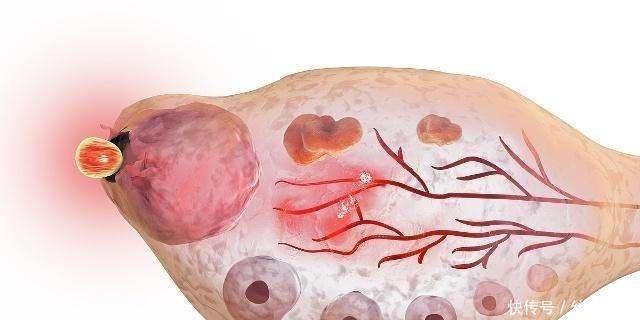 女人|你知道女人一生要排多少卵子,卵子排出来之后,是什么样吗