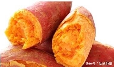 红薯|蒸红薯时,锅里放水就错了,教你一种方法,做出来比烤红薯还香甜