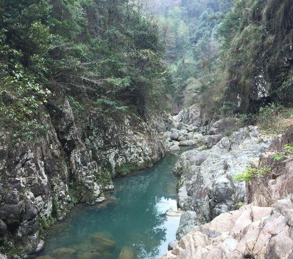 钓友|这是娃娃鱼吗山涧钓鱼,水底全是“四脚兽”,一小时钓了十几条!