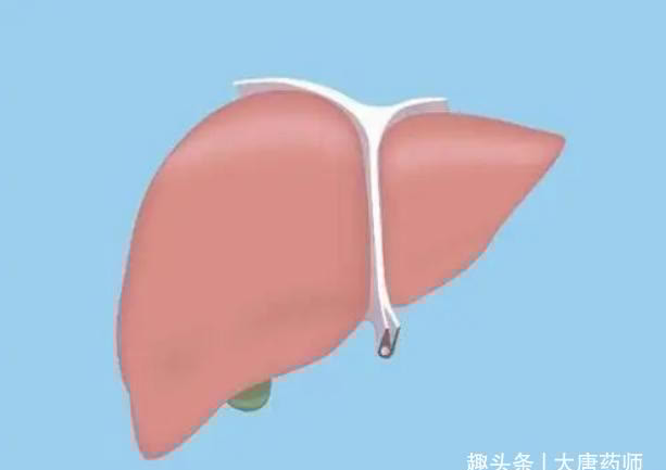 辛辣食物|吃海带养肝还是伤肝?少吃3物多做2事,肝脏一好,百病尽消!