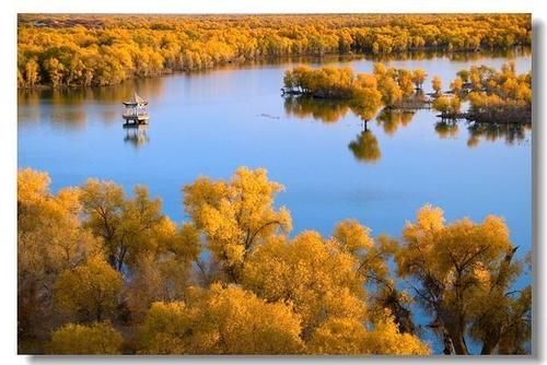 新疆面积最大胡杨林公园 占地100平方公里 还有2000年前的烽燧！