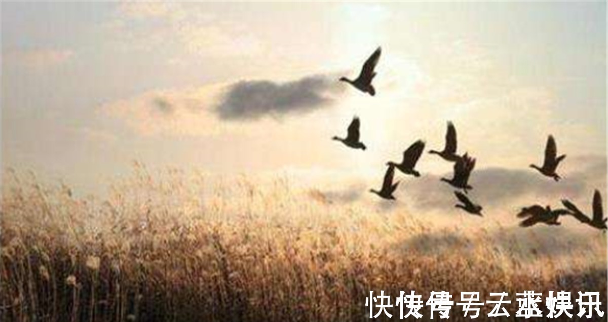 千嶂里&北宋奇才范仲淹,写下一首《渔家傲秋思》,可谓传世之经典