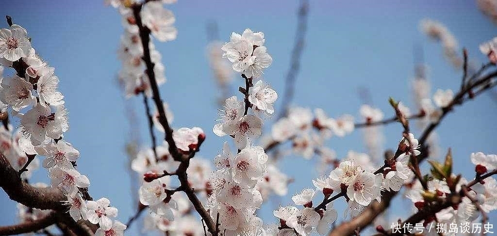 宋诗#这首宋诗脍炙人口,其中一句被误解太深,诗人访友不成写下绝唱!