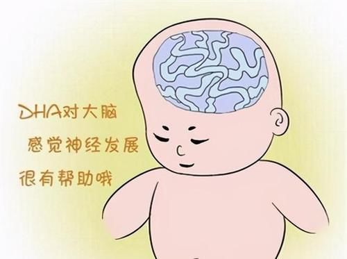 怀孕吃什么宝宝更聪明，什么阶段吃最好？根据宝宝大脑发育规律吃