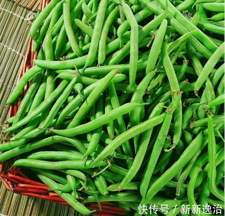 食物|爱美女性多吃3种食物,营养丰富、滋润肌肤,越吃越年轻!