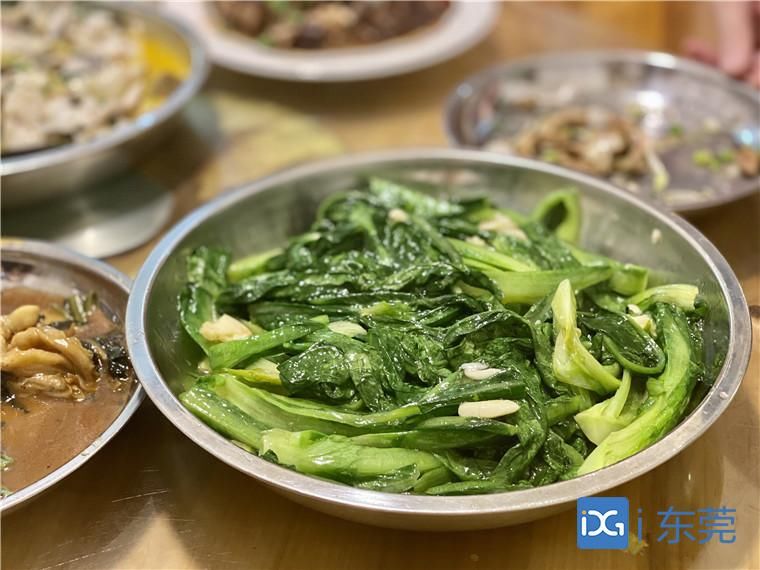  住家|旧味暖心∣最爱一口住家饭的味道