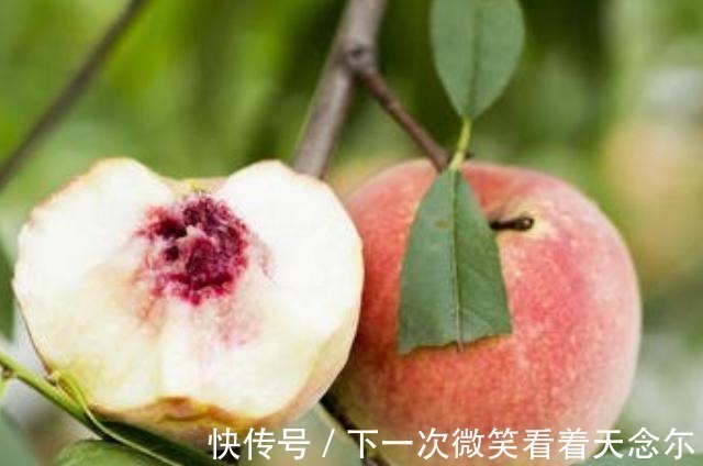 怀孕|怀孕后,这4种水果孕妇最好别吃,可能会危害胎儿的健康发育