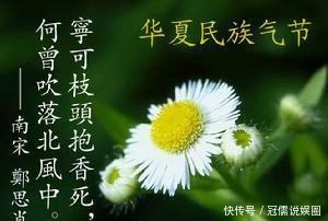 此奇书深埋井中400年,字字见血,句句见泪,引起世人强烈共鸣