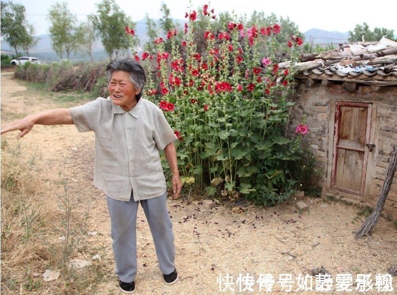 膝关节炎|民间土偏方：“豆浆+南瓜”一起煮，一周喝3次，膝盖不疼了