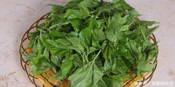 提醒,白發不要染,農村常見的葉子洗頭,堅持半月,頭發濃密黑亮