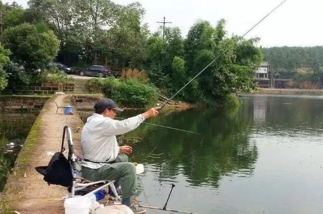 秋钓调漂中，最不应该忽视的三个误区，直接影响渔获！