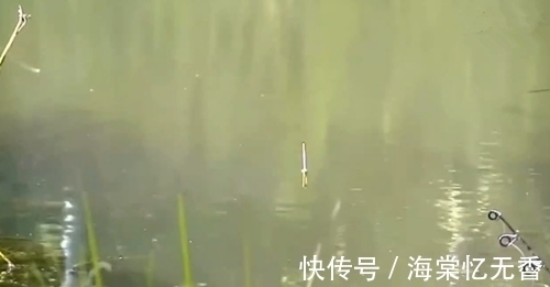 黑影|正在钓鱼，鱼漂边上出现了一条大鱼，就是不咬钩，怎么办呢