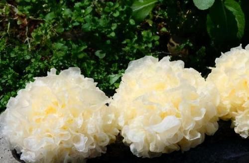 春天來了，推薦女性常吃3種食物，滋腎補血，美容養顏，好處多多