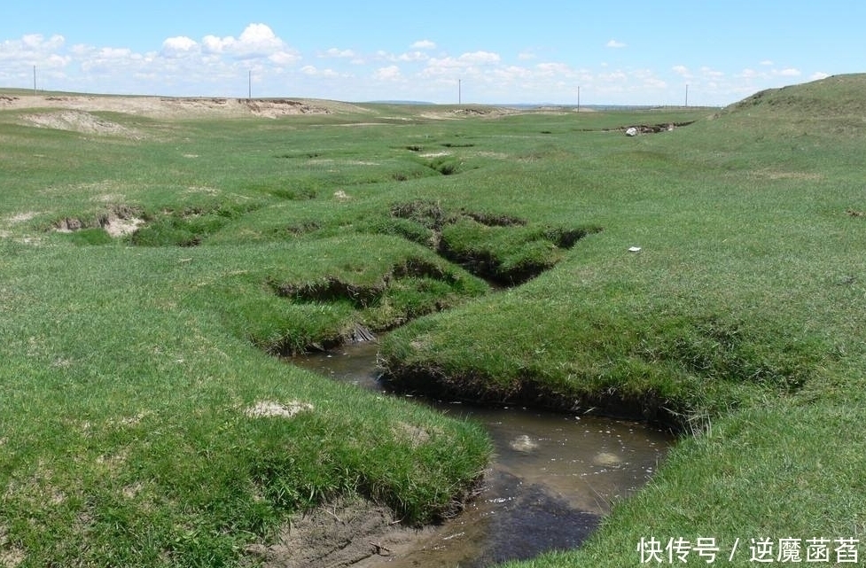 耗来河|世界上最窄的河流，宽度仅10多厘米，却是连接两座湖泊的重要水道