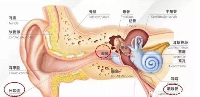 做好|怎么判断宝宝是否得中耳炎，小知识让您做好预防！